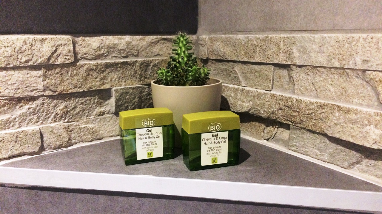 Photo of Bathroom in Le Freney-d'Oisans