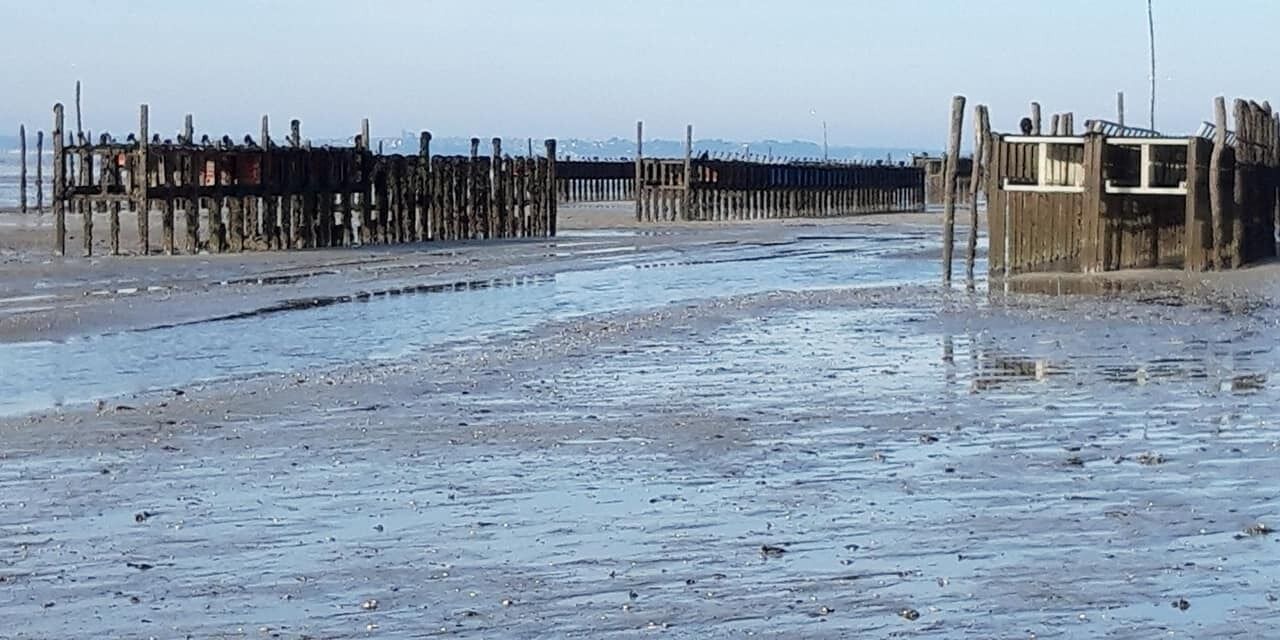 Photo of Outdoor in Le Vivier-sur-Mer