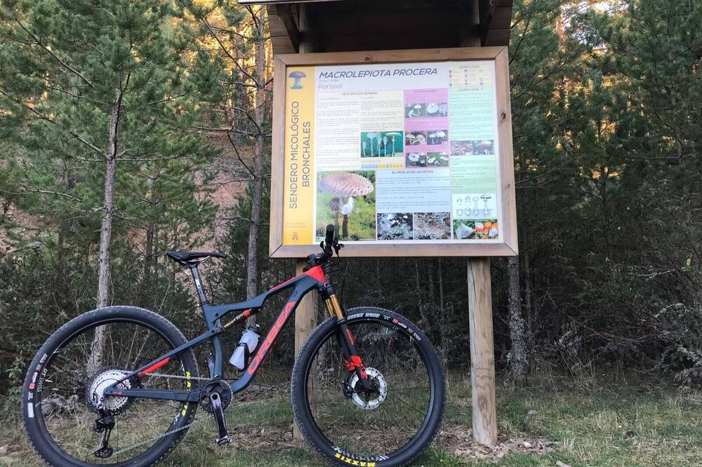 Photo of Outdoor in Bronchales