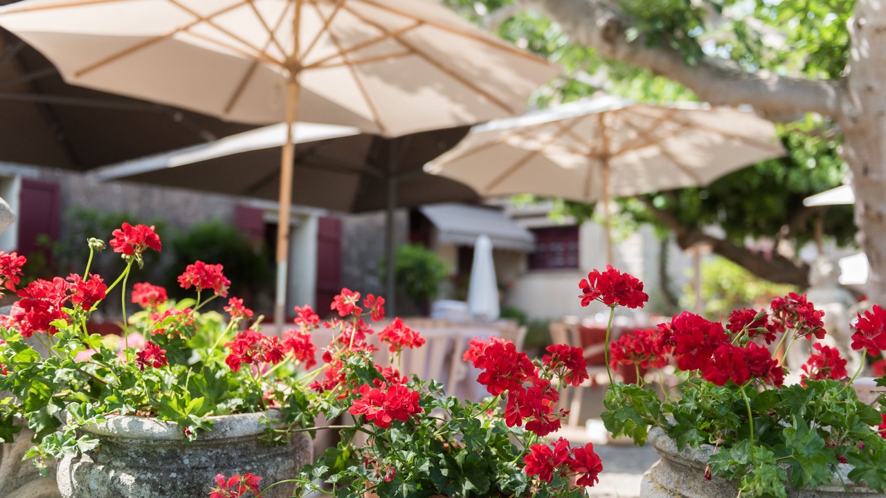 Photo of Outdoor in Flassans-sur-Issole