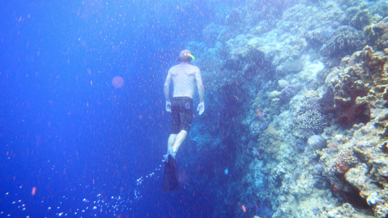 Photo of Others in West Selemadeg