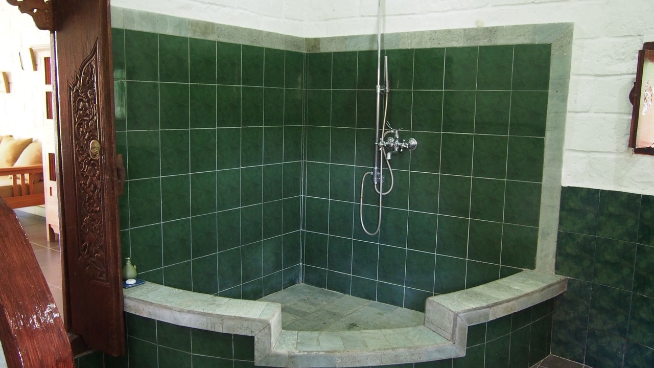 Photo of Bathroom in West Selemadeg