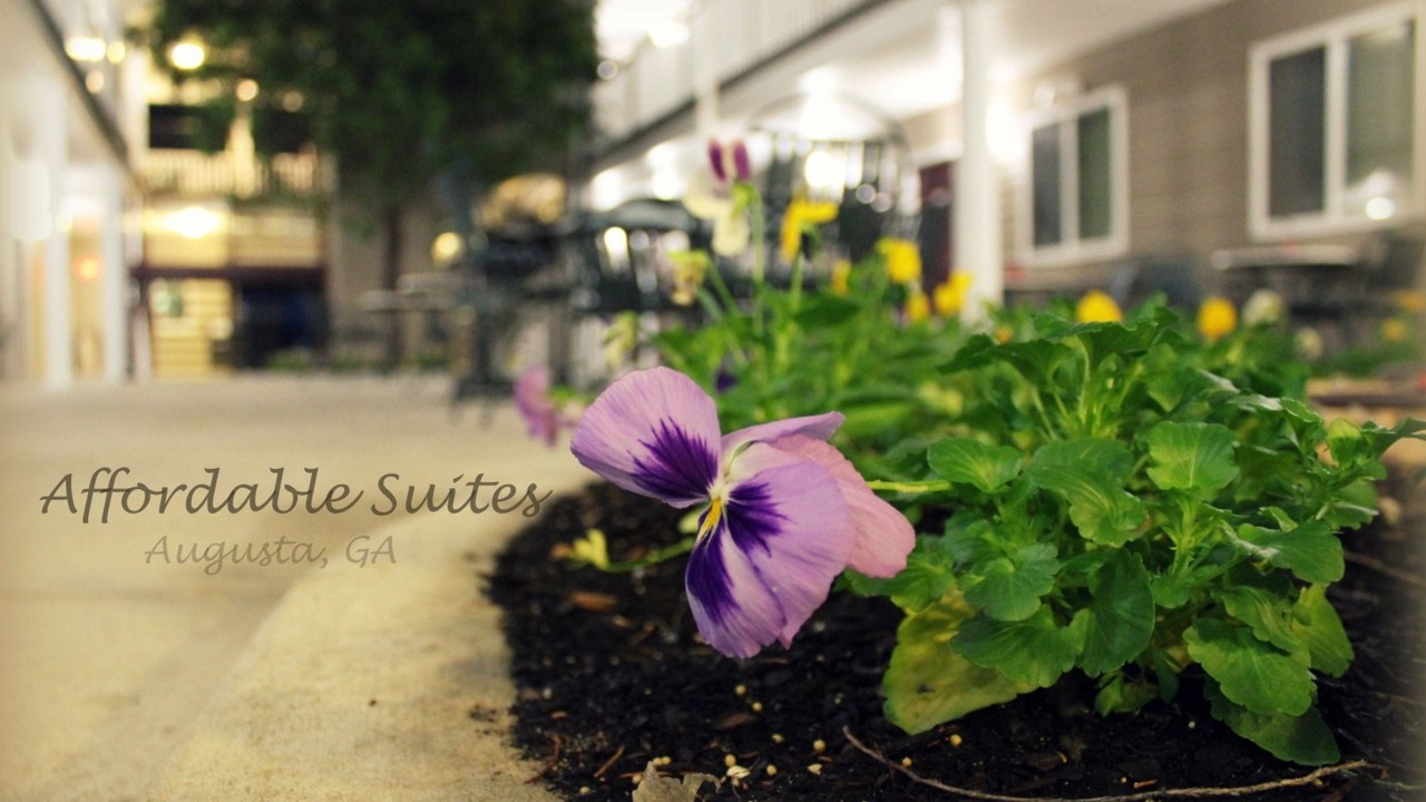 Photo of Outdoor in Augusta