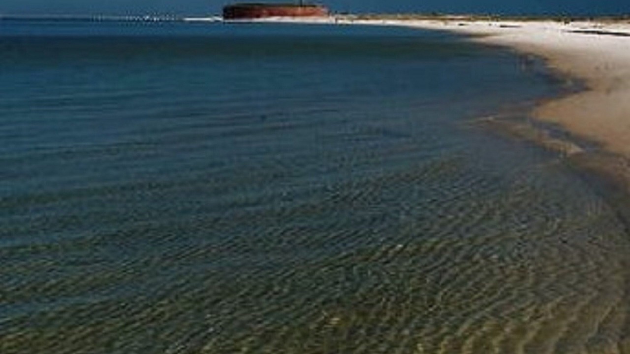 Photo of Others in Gulfport