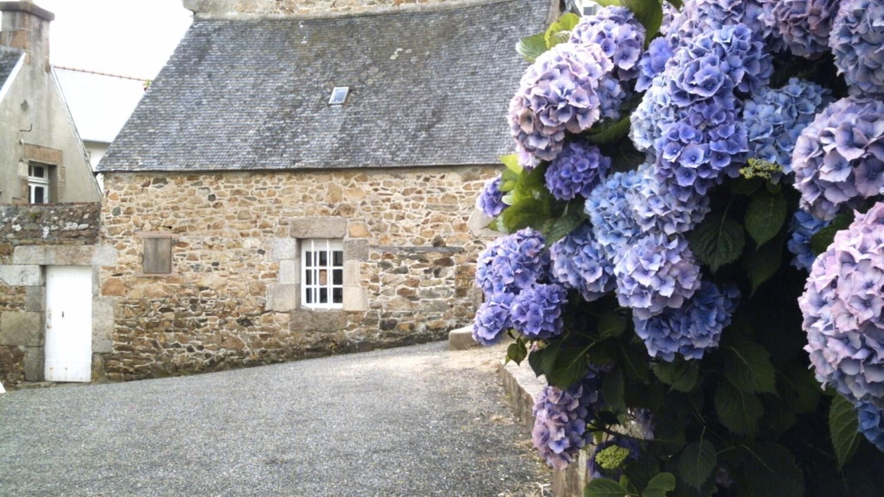 Photo of Outdoor in Perros-Guirec