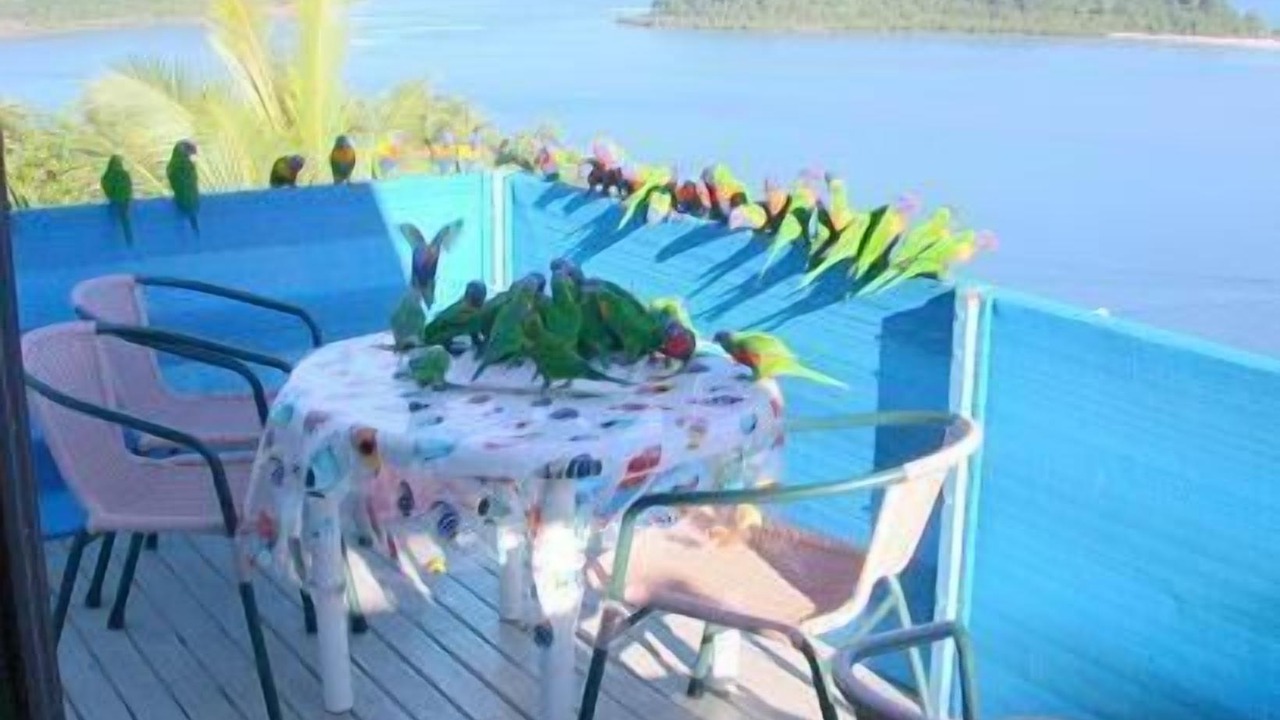 Photo of Patio Balcony in Shute Harbour