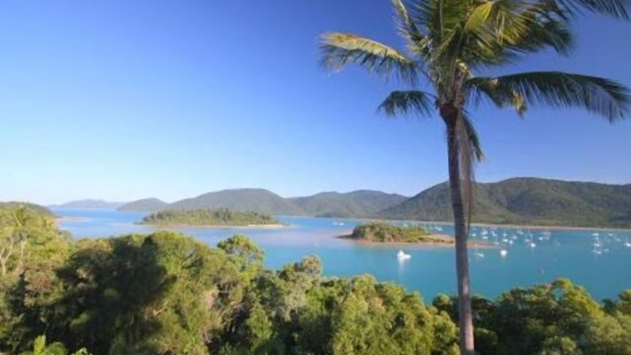 Photo of Others in Shute Harbour