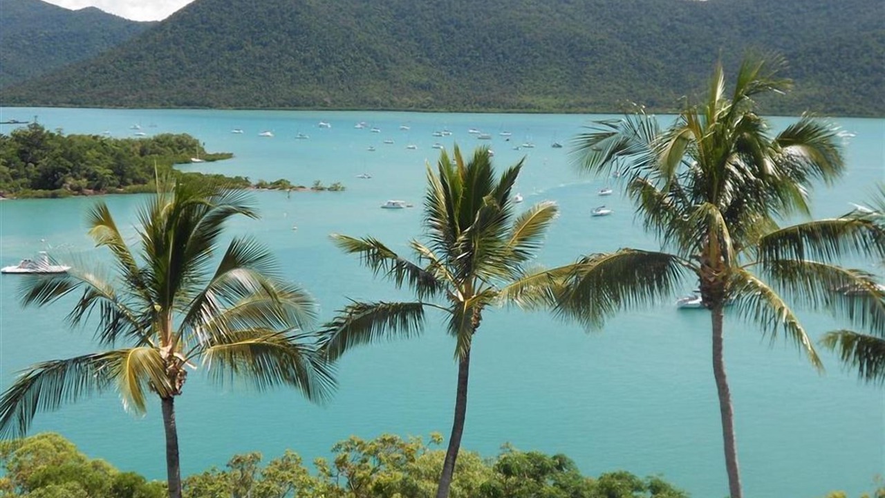 Photo of Others in Shute Harbour