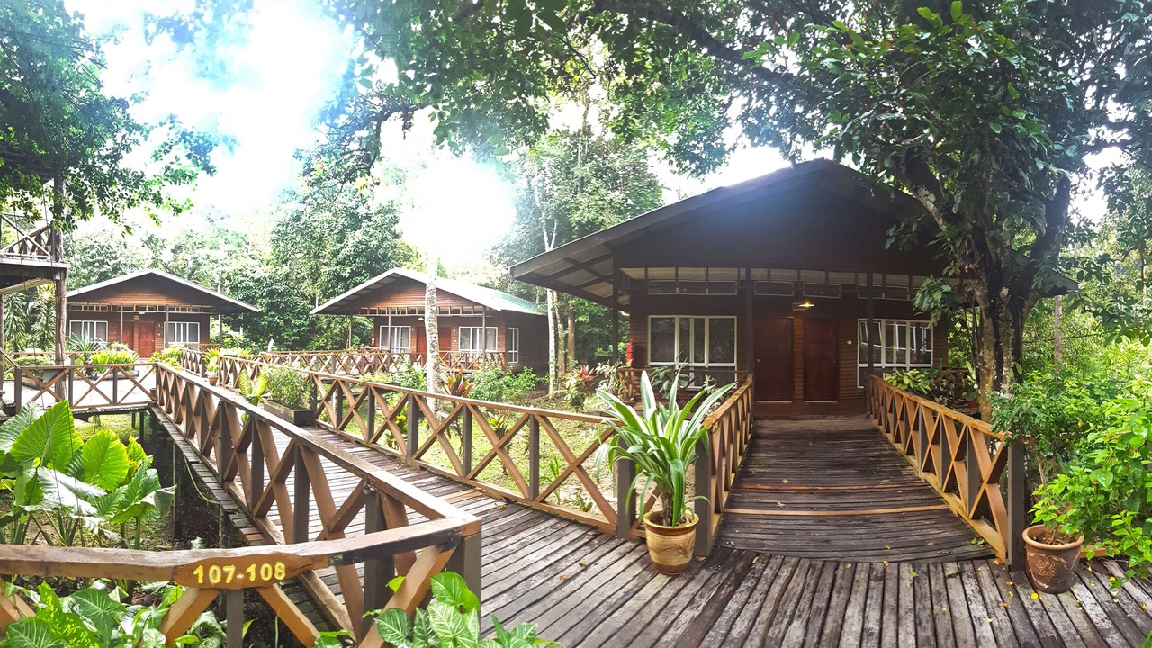 Photo of Outdoor in Kota Kinabatangan