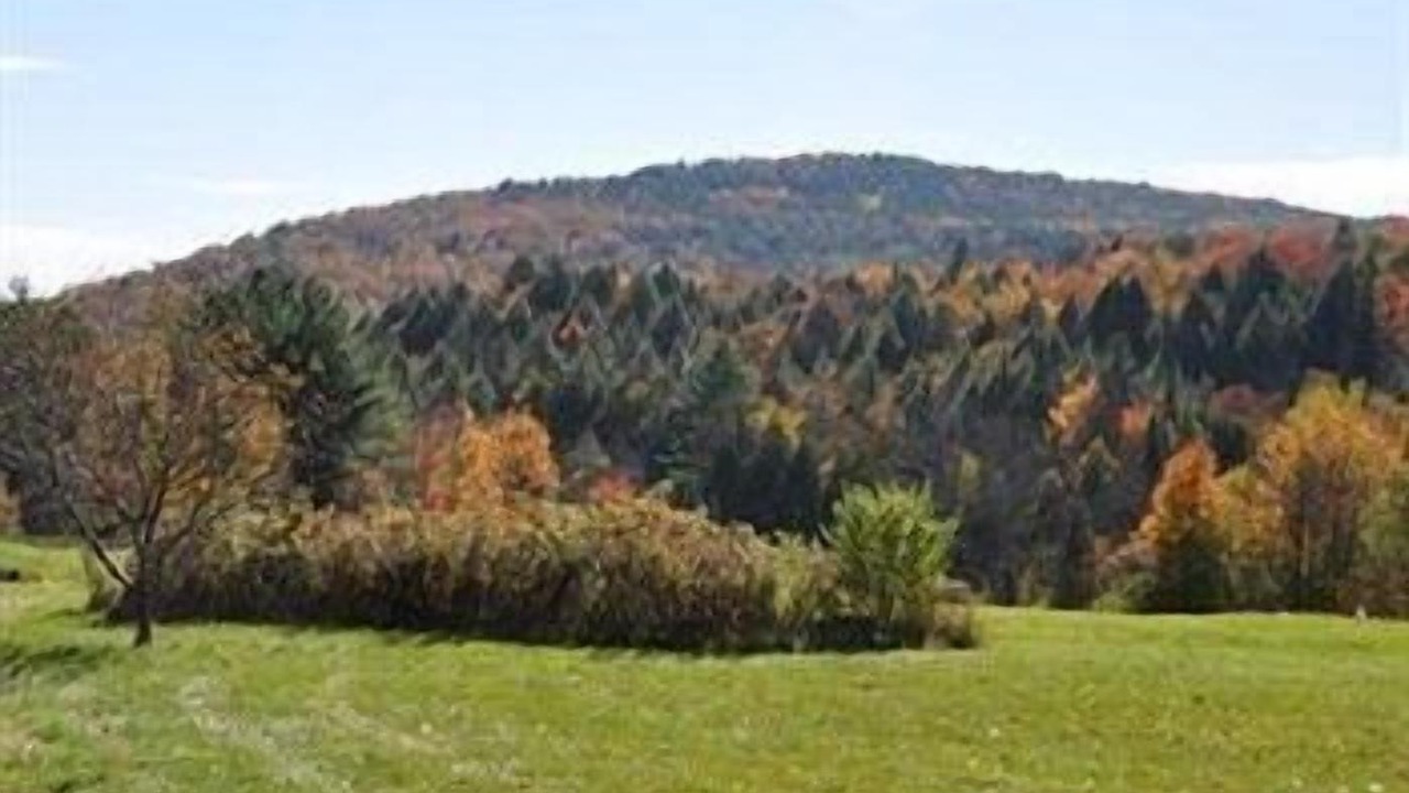 Photo of Others in Morrisville