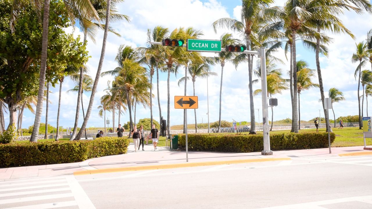Photo of Others in Flamingo/Lummus