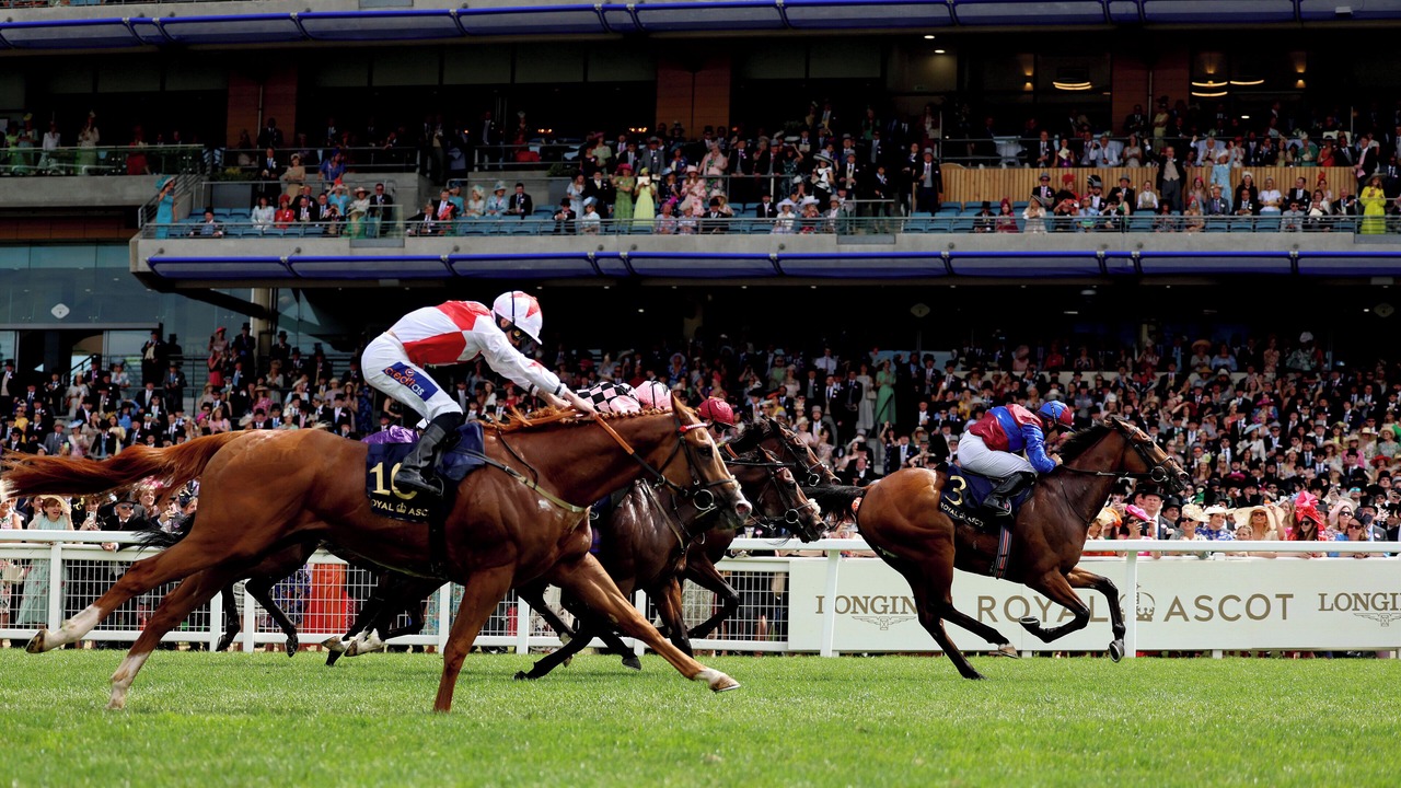 Photo of Others in Windsor