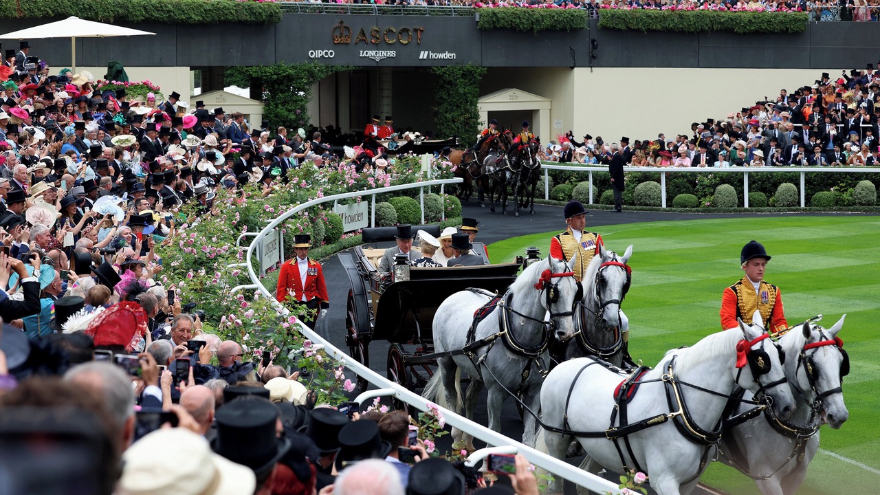 Photo of Others in Windsor