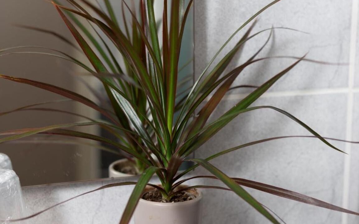 Photo of Others in Bolbec