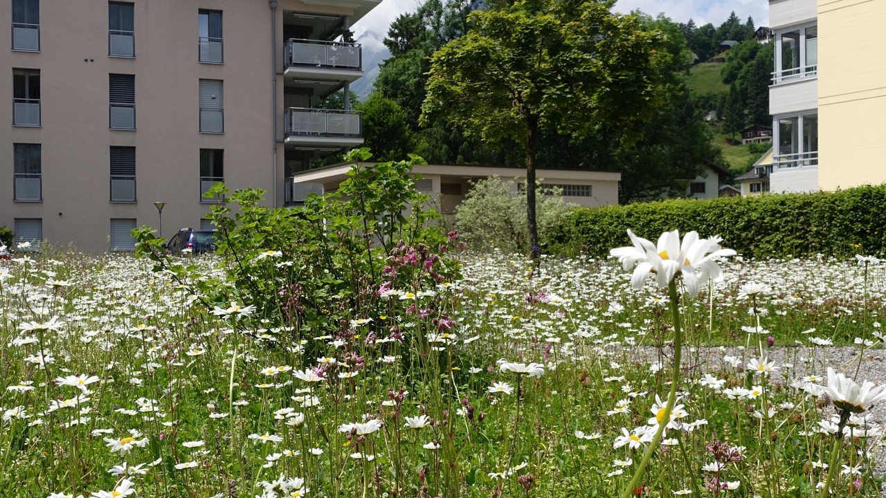 Photo of Outdoor in Engelberg
