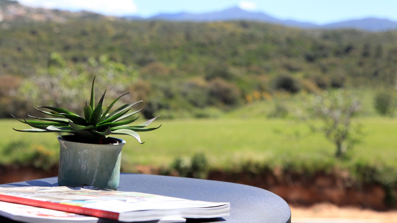 Photo of Outdoor in Albitreccia