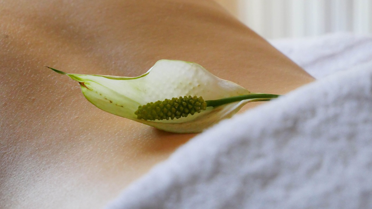 Photo of Bedroom in Pontaubert