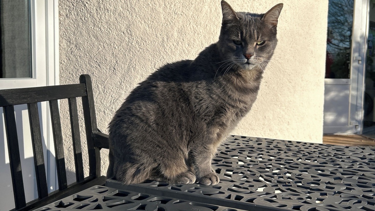 Photo of Patio Balcony in Saint Dezery