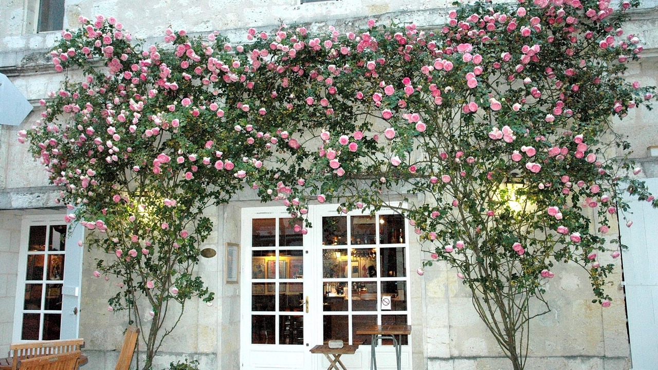 Photo of Outdoor in Lectoure