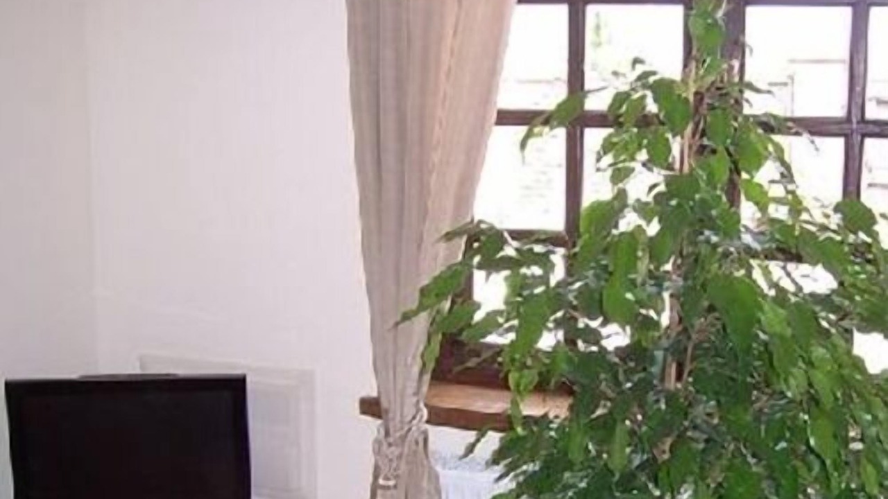 Photo of Others in Flaxton