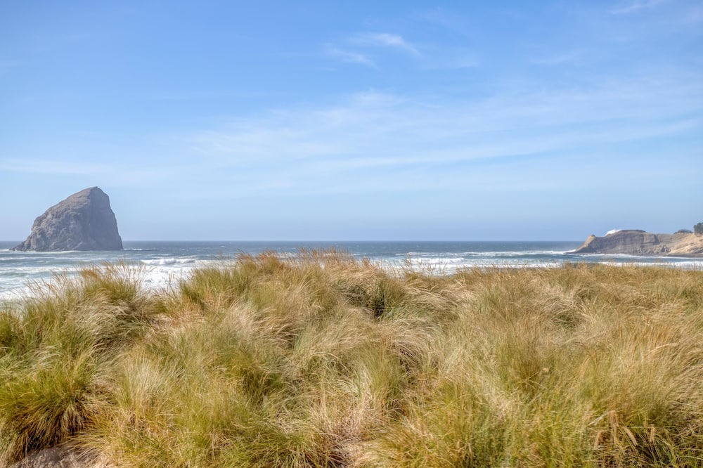 Photo of Others in Pacific City