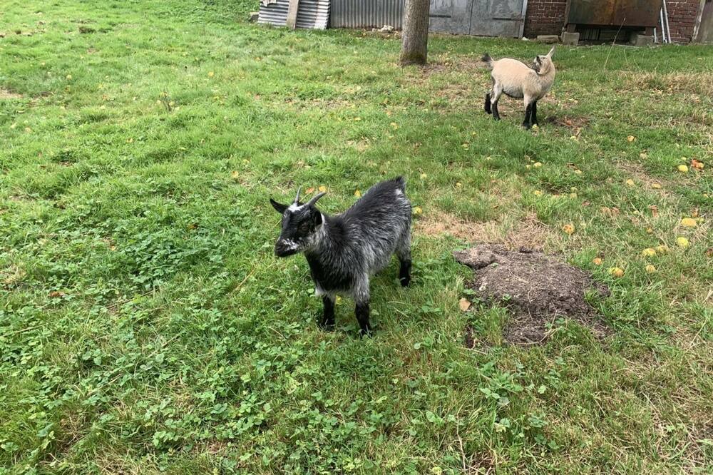 Photo of Outdoor in Ecrainville