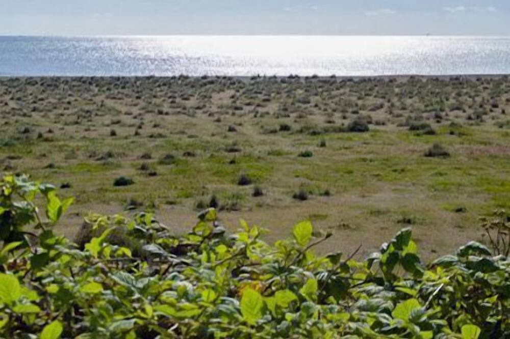 Photo of Others in Kessingland