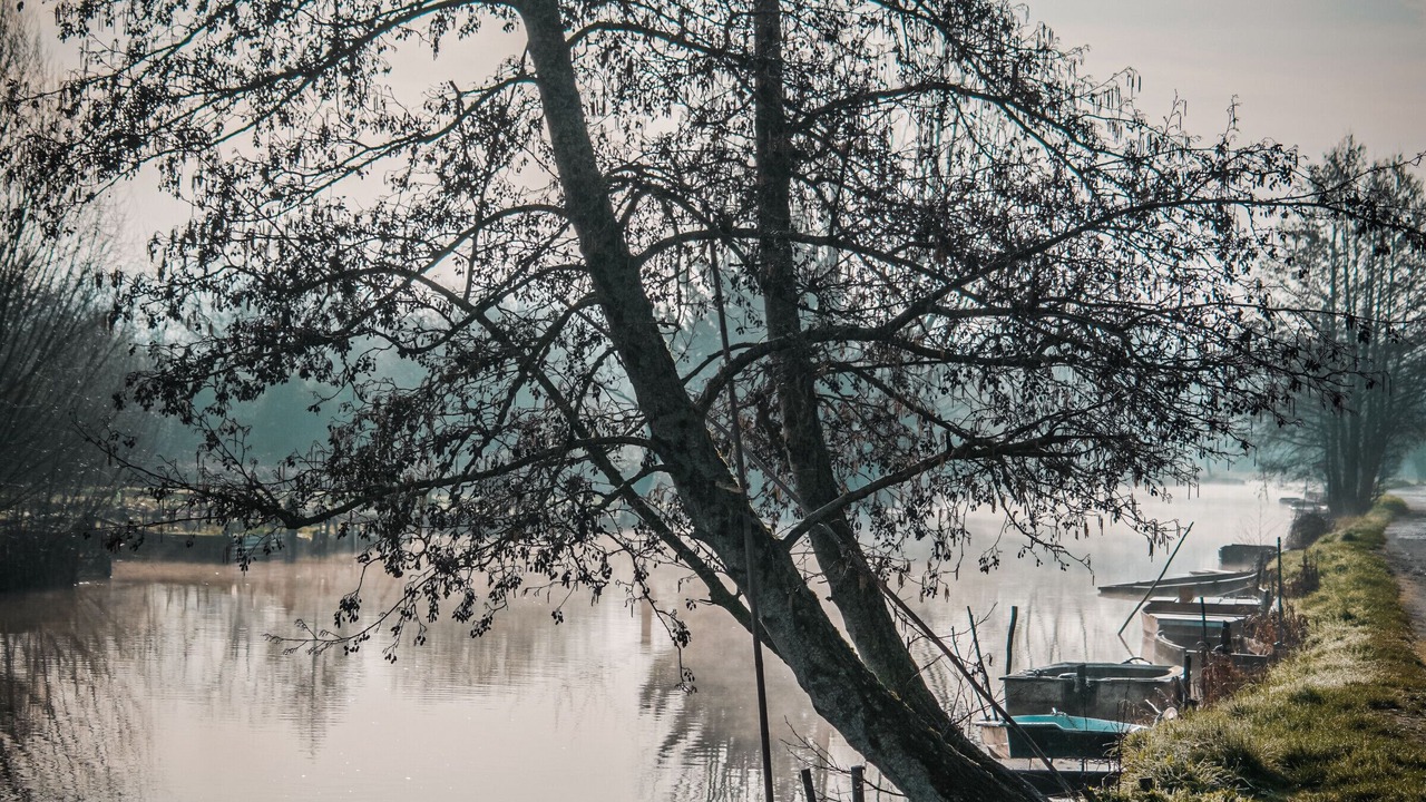 Photo of Others in Bourges