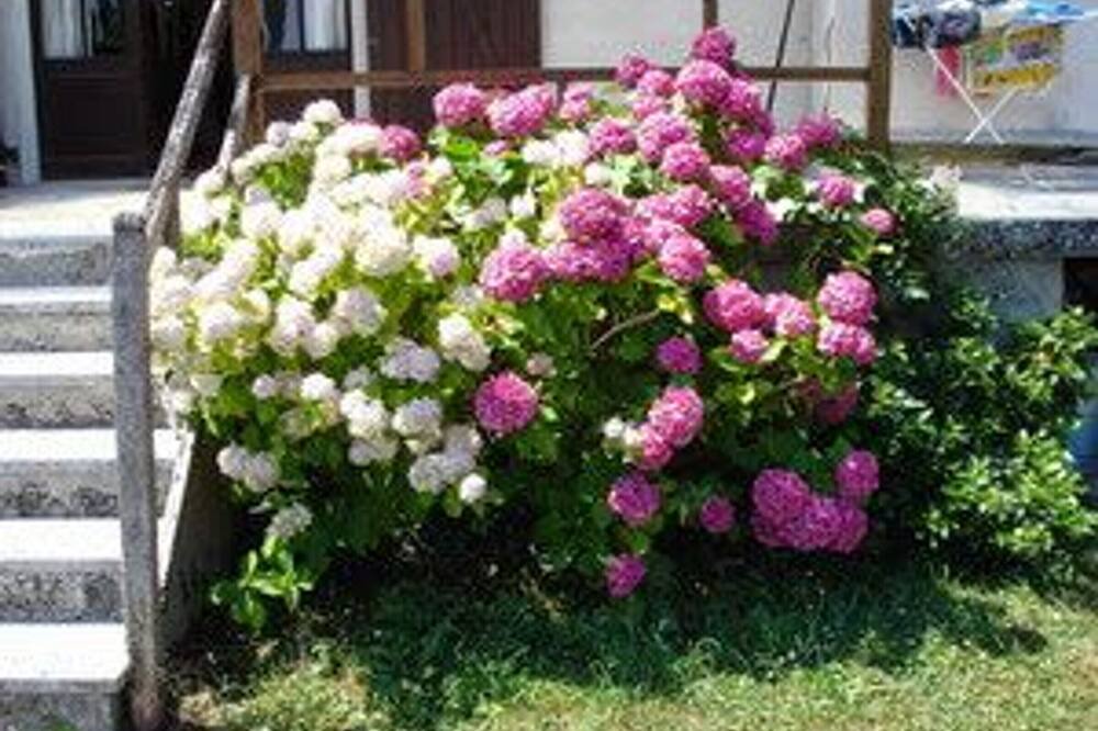 Photo of Outdoor in Lurais