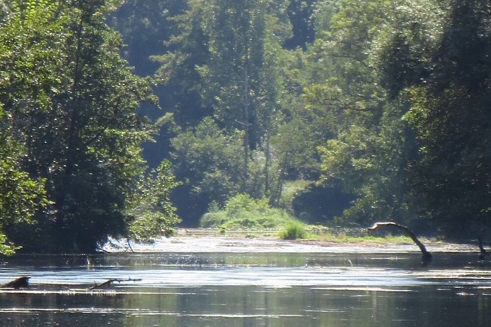 Photo of Others in Lurais