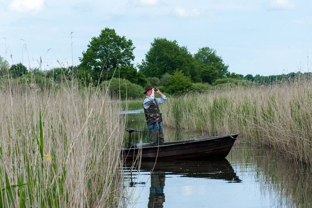 Photo of Others in Saulnay