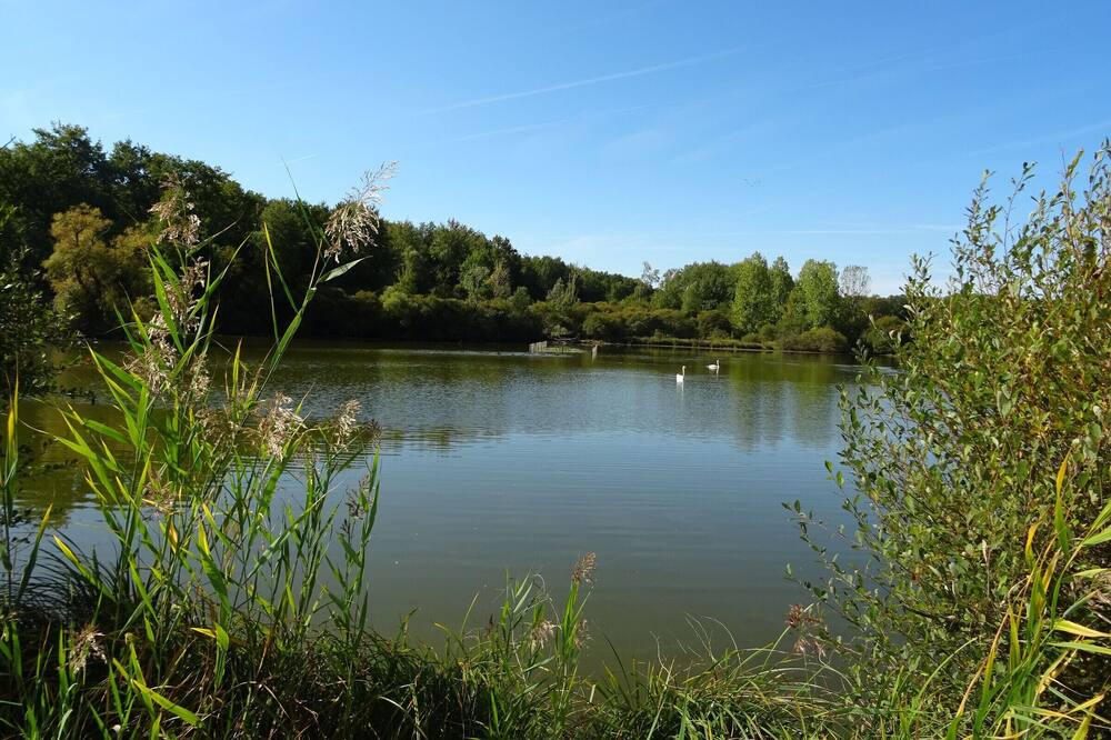 Photo of Outdoor in Saulnay