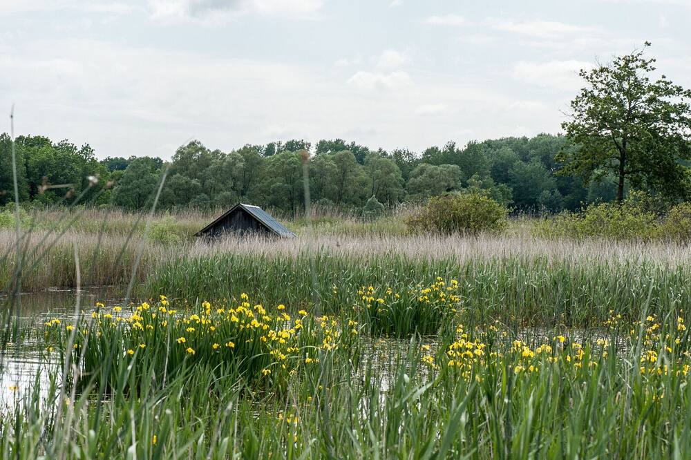 Photo of Outdoor in Saulnay
