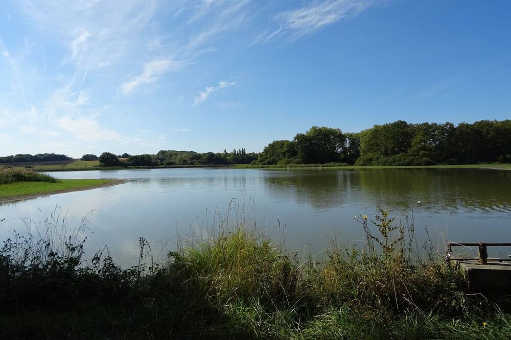 Photo of Outdoor in Saulnay