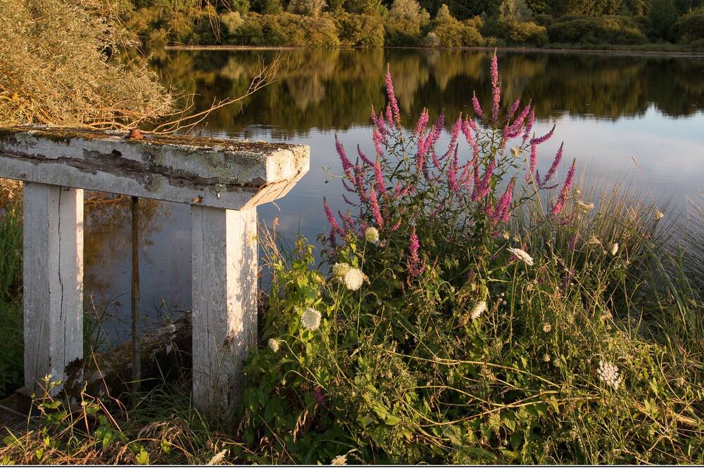 Photo of Outdoor in Saulnay