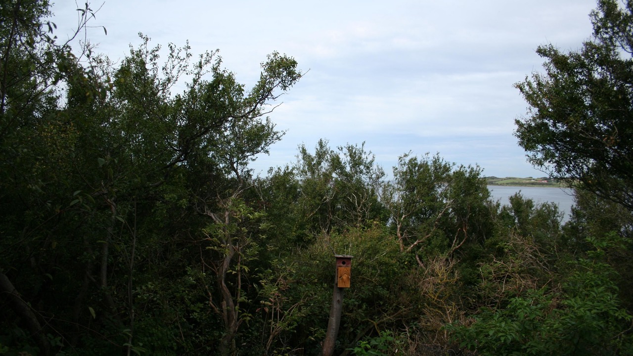 Photo of Outdoor in Follenslev