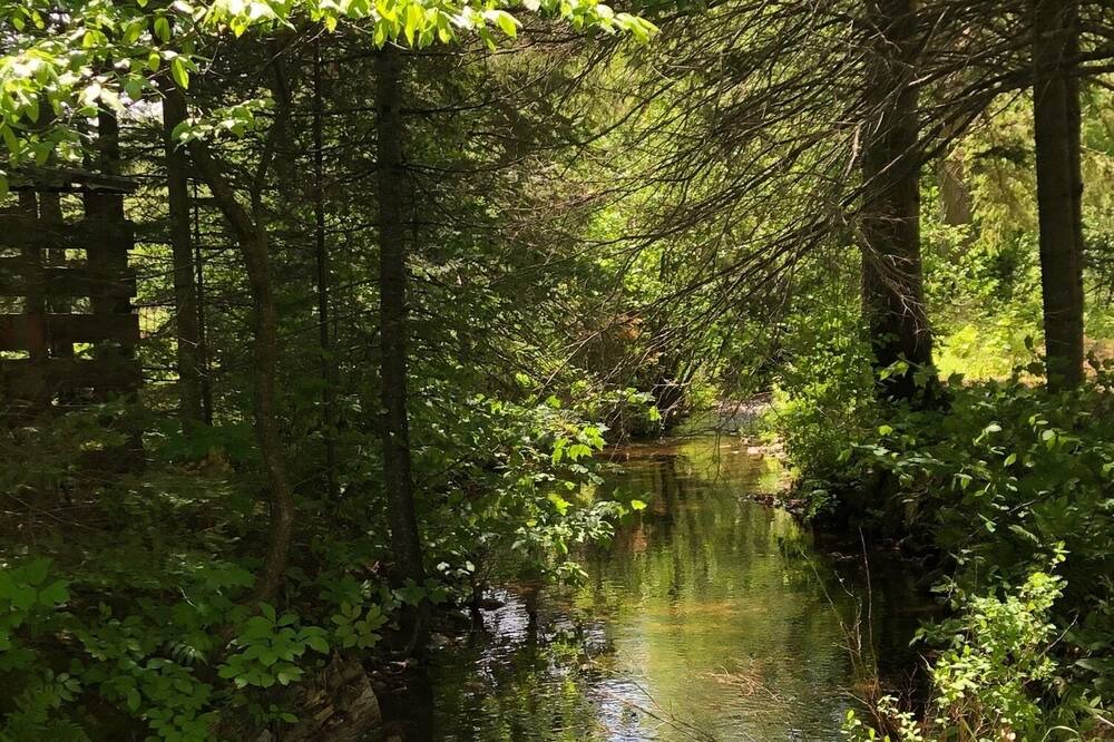 Photo of Outdoor in Harcourt