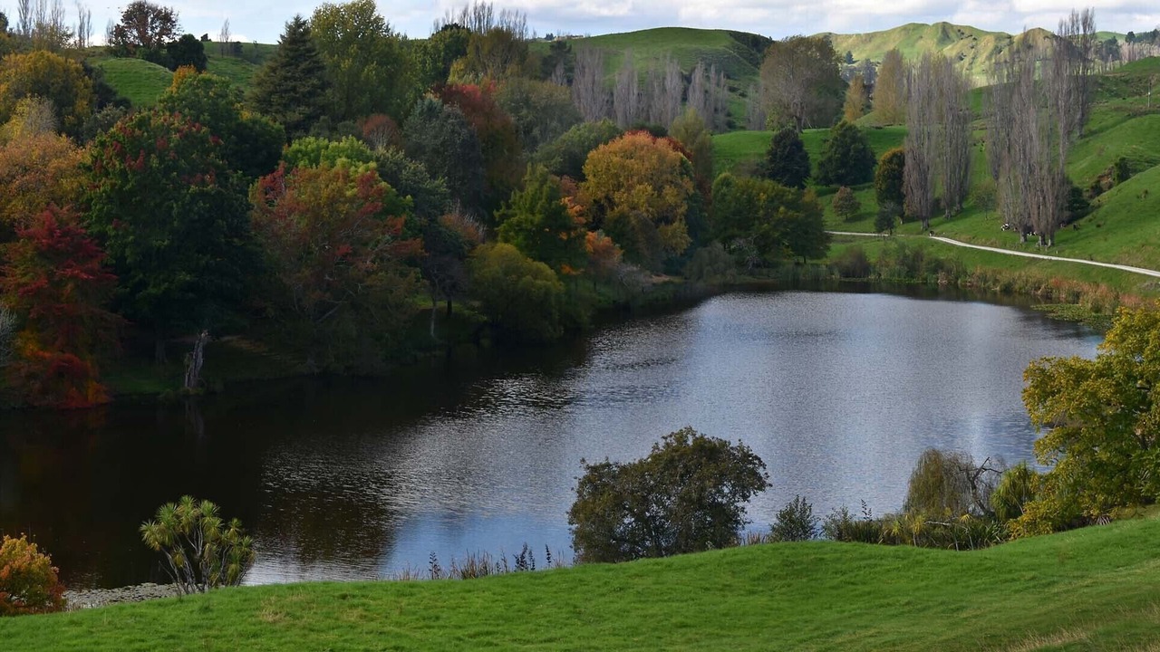 Photo of Outdoor in Tiniroto