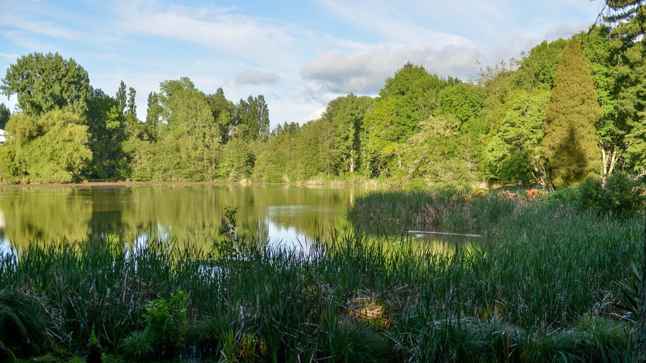 Photo of Outdoor in Tiniroto