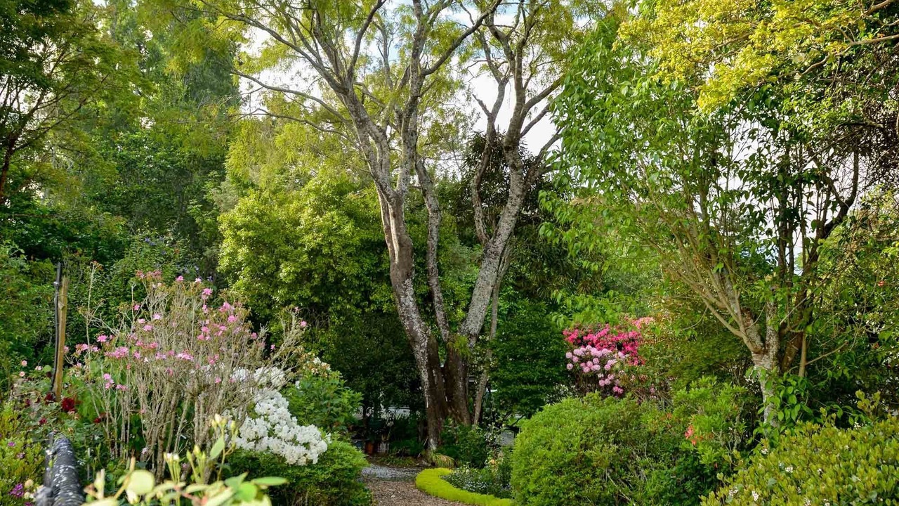 Photo of Outdoor in Tiniroto