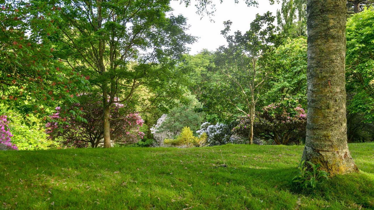 Photo of Outdoor in Tiniroto