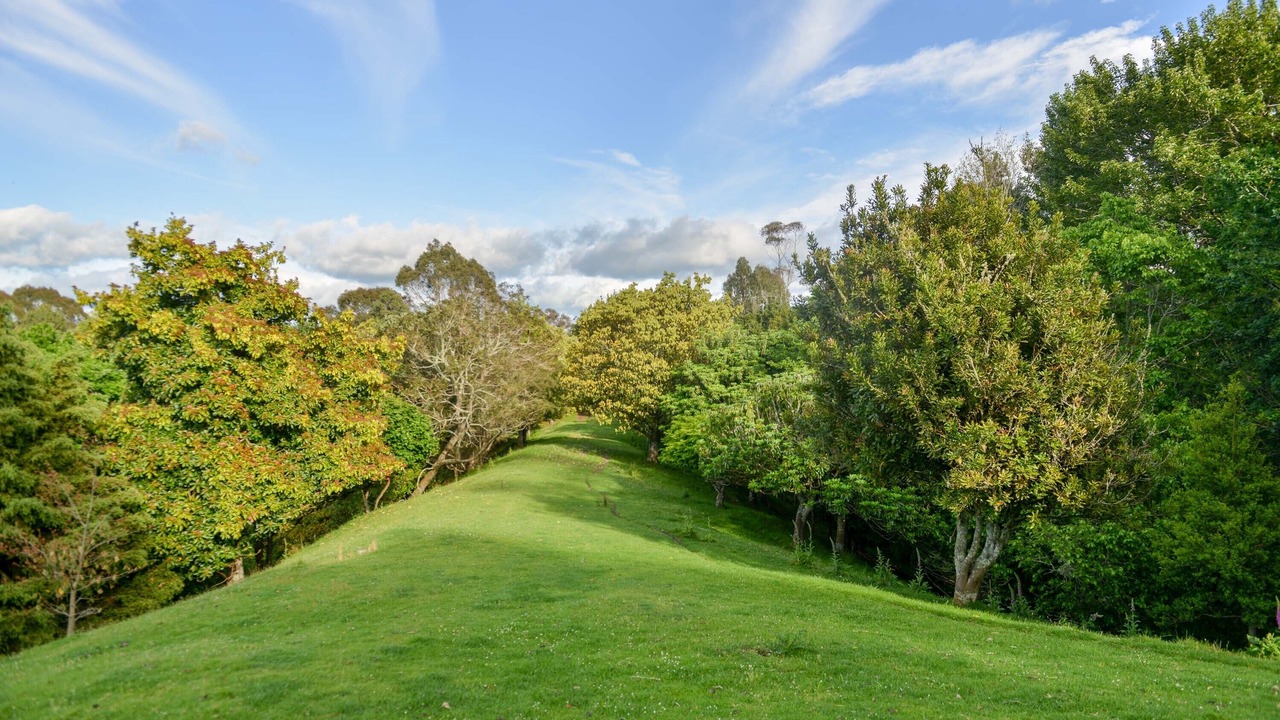 Photo of Outdoor in Tiniroto