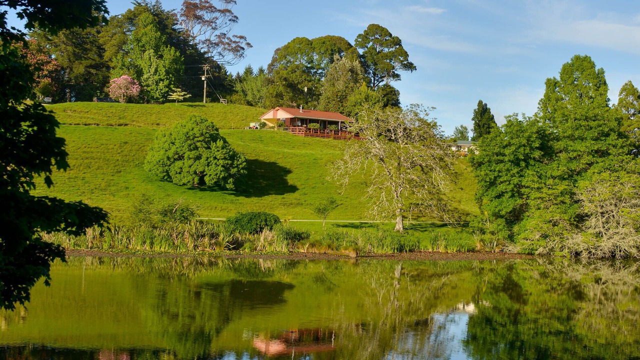 Photo of Others in Tiniroto