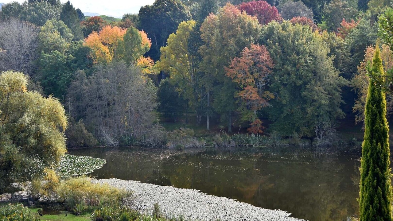 Photo of Outdoor in Tiniroto