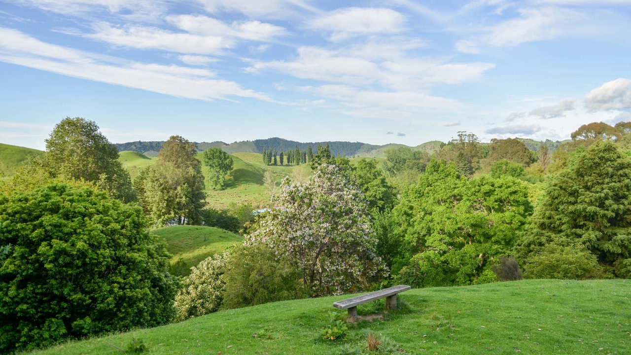 Photo of Outdoor in Tiniroto