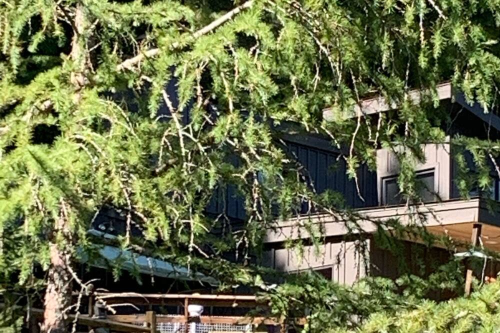 Photo of Others in Little Valley