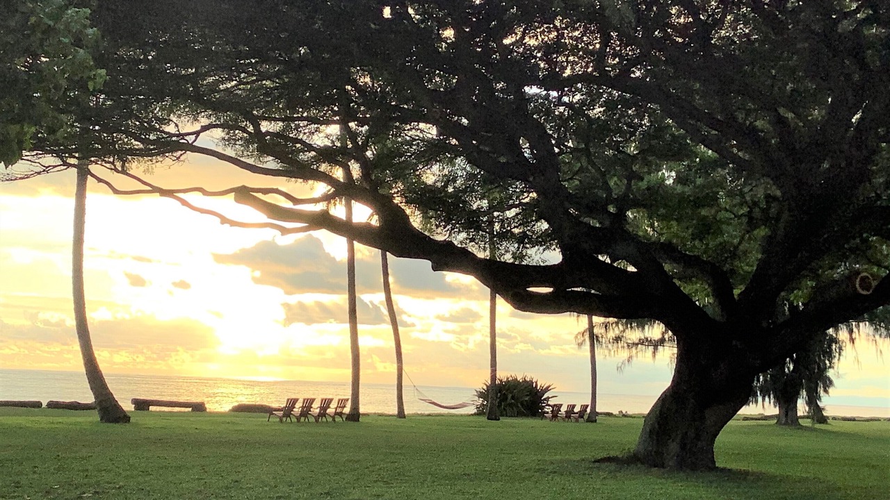 Photo of Others in Waimea