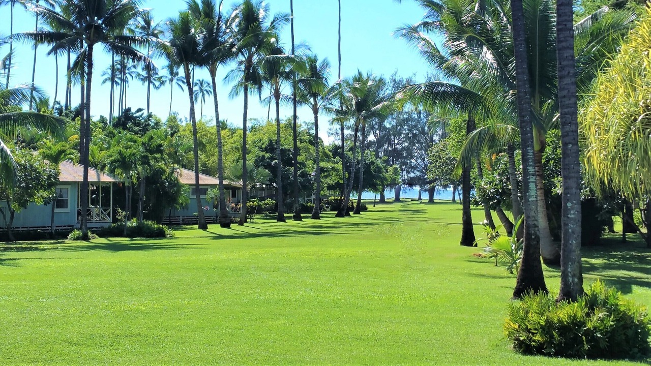 Photo of Others in Waimea