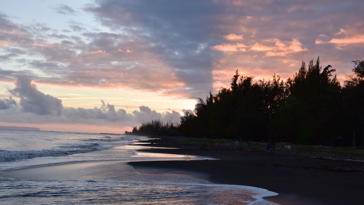 Photo of Others in Waimea