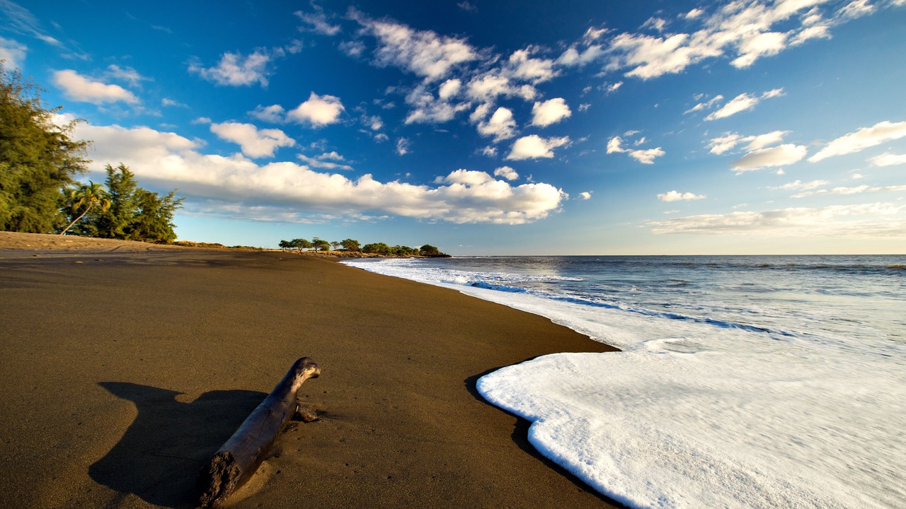 Photo of Others in Waimea